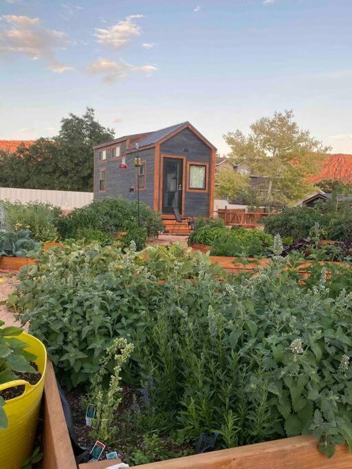 Atlantis Garden Tiny Home Hildale Exterior foto