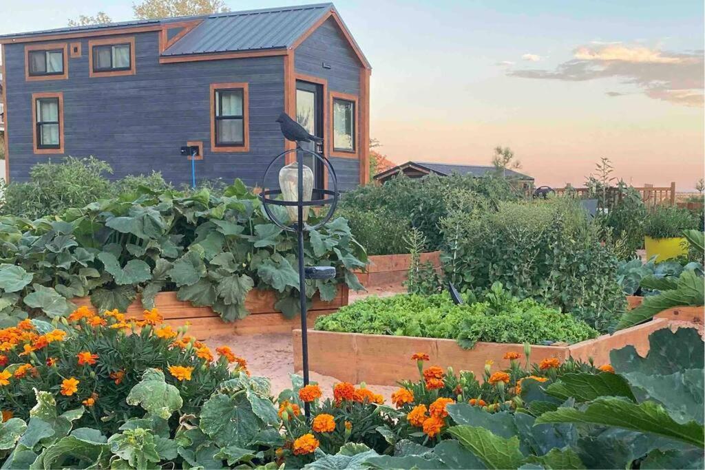 Atlantis Garden Tiny Home Hildale Exterior foto