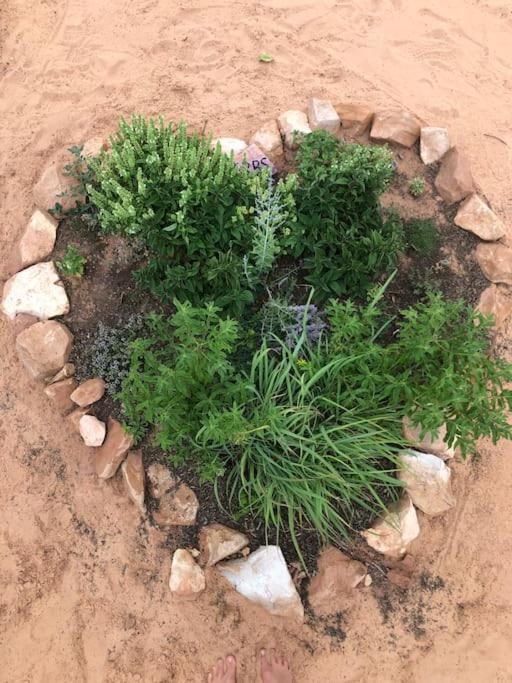 Atlantis Garden Tiny Home Hildale Exterior foto